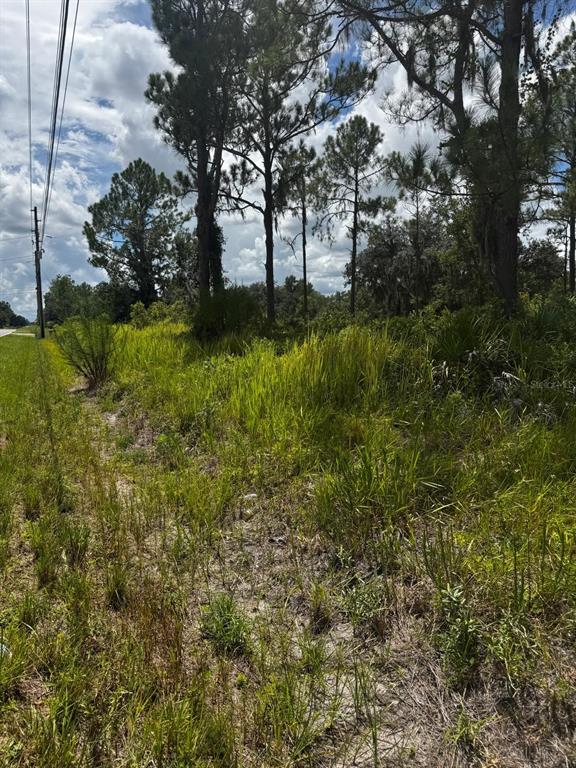 MCCLELLAN ROAD UNIT 49, FROSTPROOF, FL — photo 3 of 8