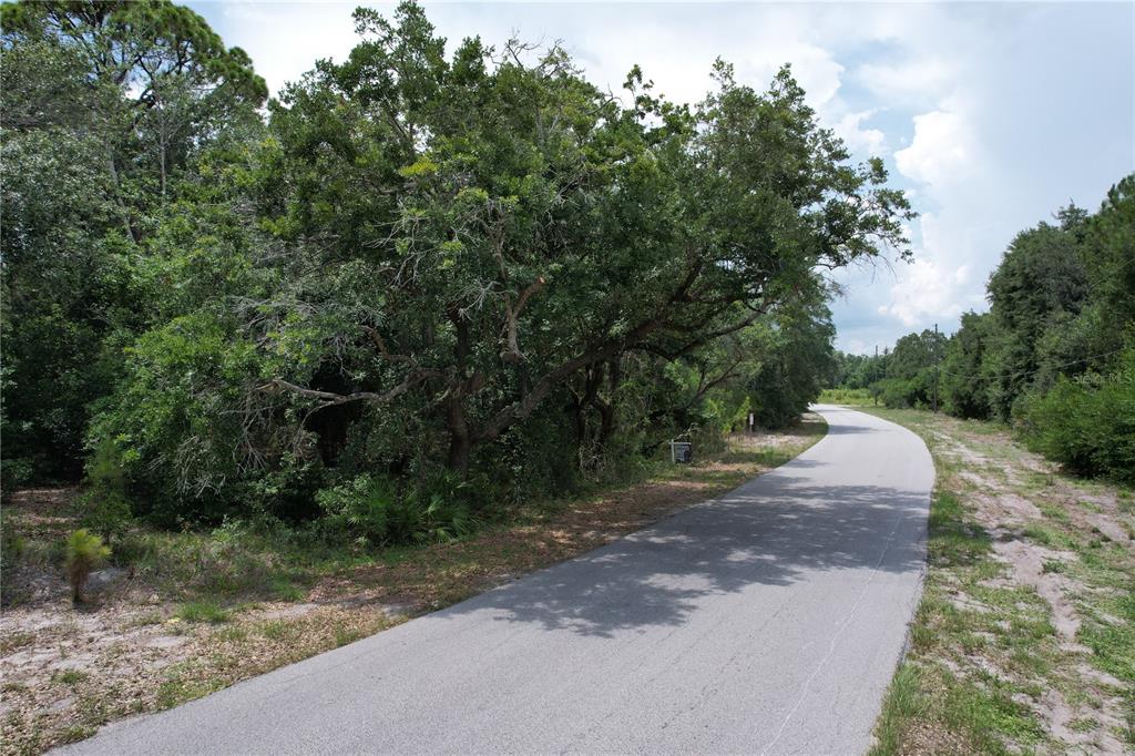 A paved road curves past a wooded lot with dense trees and vegetation — 1008 WILDFLOWER STREET, LAKE PLACID, FL