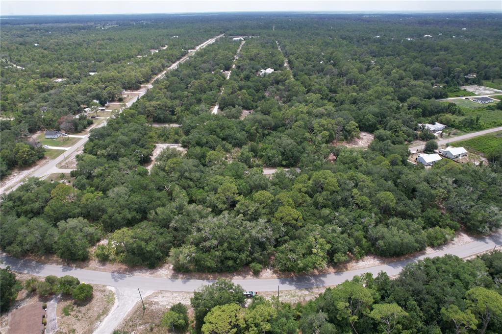 An aerial view shows a wooded residential lot with surrounding roads and scattered houses — 1008 WILDFLOWER STREET, LAKE PLACID, FL
