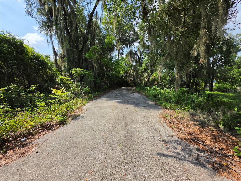 A paved road leads into a wooded area with large trees draped in Spanish moss — 0 WEST PLYMOUTH AVENUE, DELAND, FL