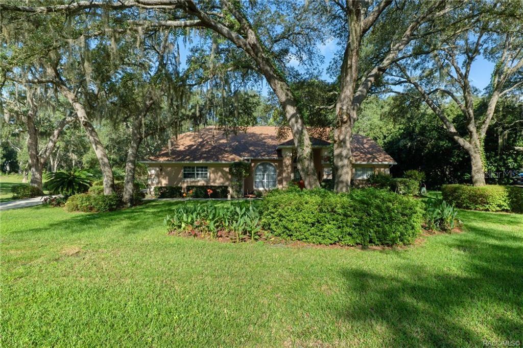 A single-story house with a brown roof sits behind large oak trees and landscaping — 270 N GRANDVIEW AVENUE, HERNANDO, FL
