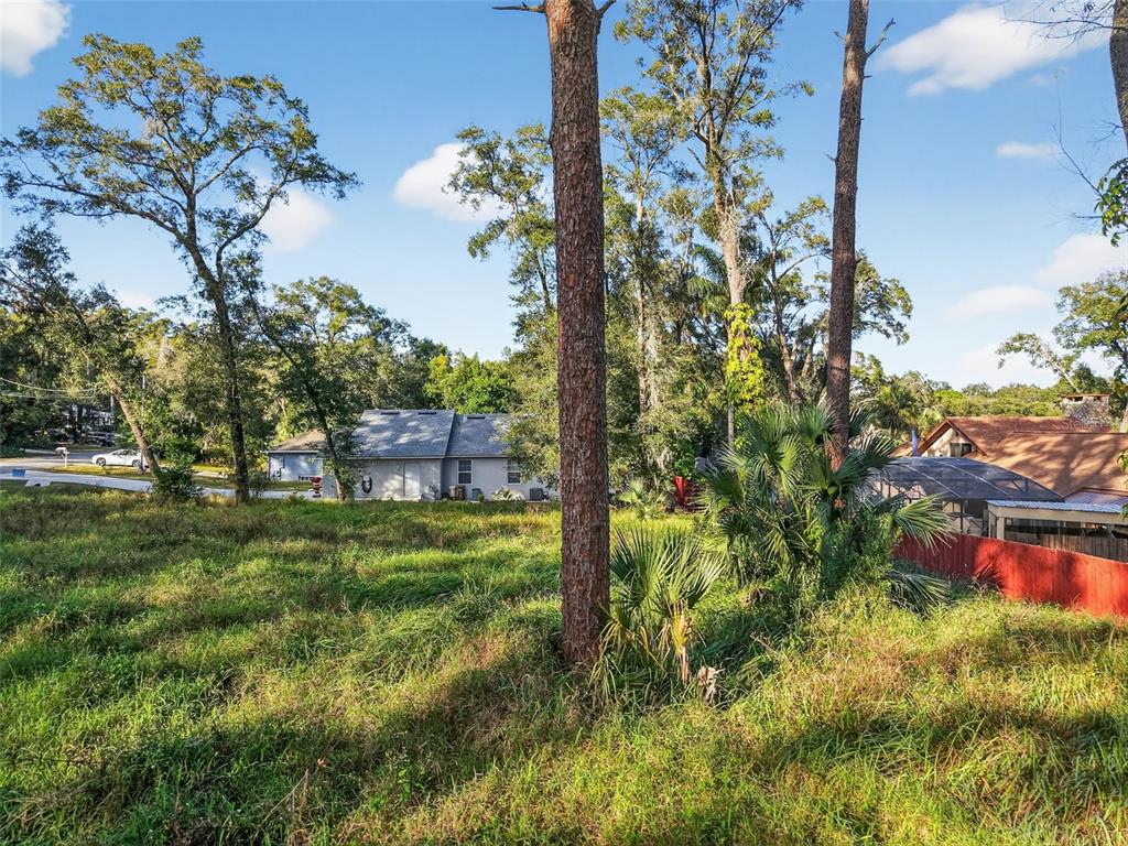 A grassy, wooded lot with tall pine trees and neighboring houses in the background — APAWAMIS DRIVE, SORRENTO, FL