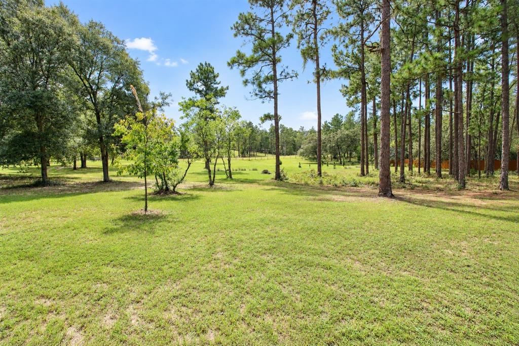 152 PIPER DRIVE, HAWTHORNE, FL — photo 4 of 30