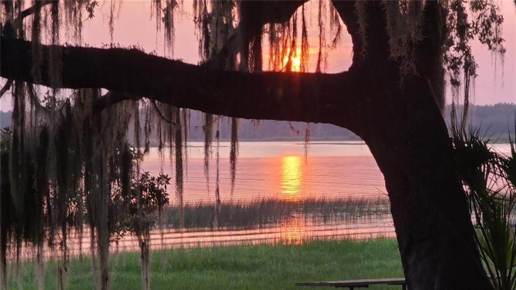 A sunset view over a lake framed by a large tree with hanging Spanish moss — 25205 NE 142 ND STREET, SALT SPRINGS, FL