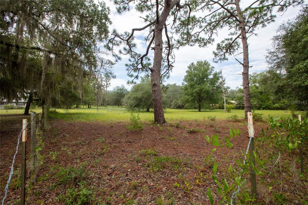 6323 PAYNE ROAD, KEYSTONE HEIGHTS, FL — photo 5 of 30