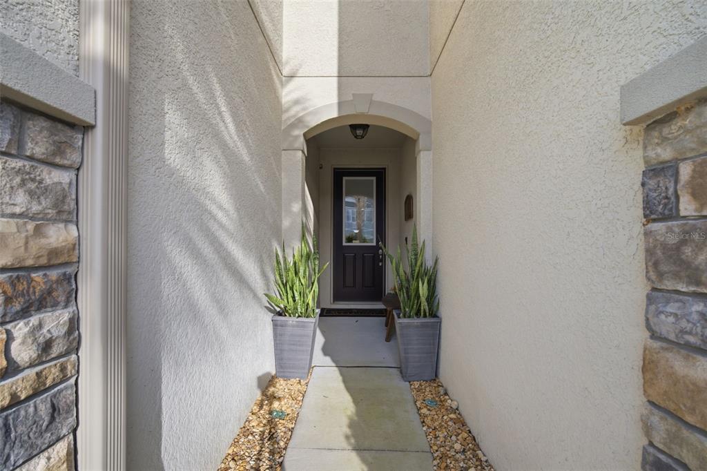 A narrow concrete walkway leads to a dark front door framed by two potted plants — 14215 PONDHAWK LANE, TAMPA, FL