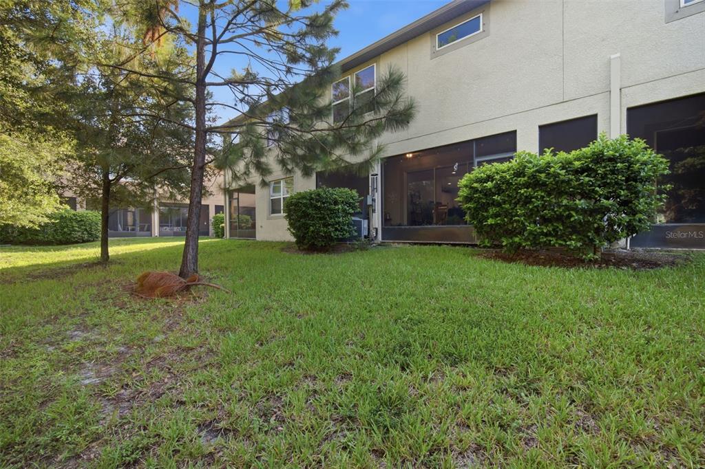 The exterior of a two-story townhouse with a screened-in patio and a grassy backyard — 14215 PONDHAWK LANE, TAMPA, FL