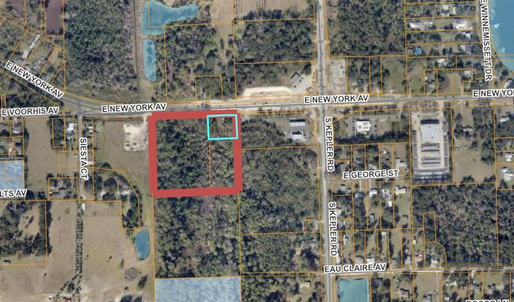 This is an aerial map showing a large, wooded parcel of land outlined in red — E NEW YORK AVENUE, DELAND, FL