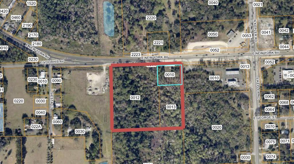 This is an aerial map showing a large, rectangular parcel of land outlined in red — E NEW YORK AVENUE, DELAND, FL