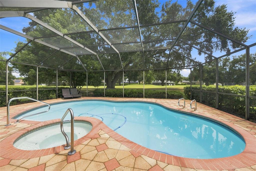 550 PALMDALE DRIVE, OLDSMAR, FL — photo 2 of 30