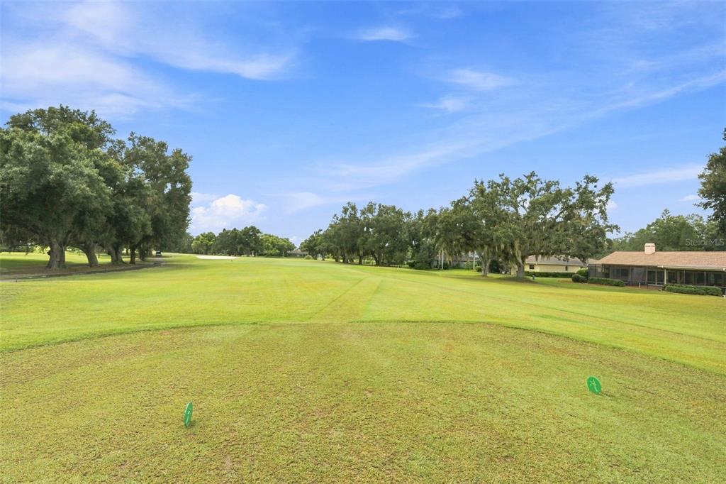 550 PALMDALE DRIVE, OLDSMAR, FL — photo 3 of 30