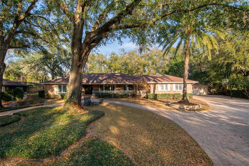 A single-story brick house with a paved driveway, large oak trees, and a palm tree — 2009 WOODY DRIVE, WINDERMERE, FL