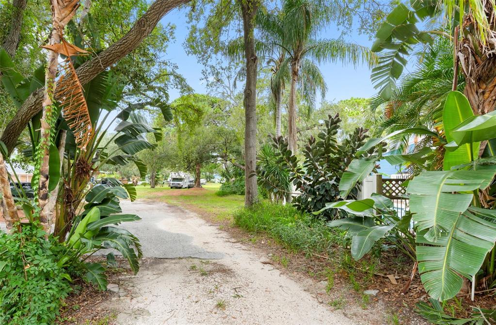 A large, grassy, sunlit lot is surrounded by mature trees and a few distant houses — 0 PENNSYLVANIA AVENUE, PALM HARBOR, FL