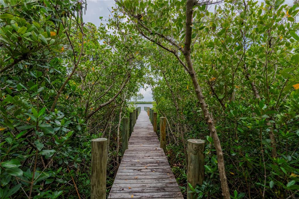 A wooden boardwalk leads through a dense mangrove forest toward a body of water — 0 RIVERFRONT DRIVE Lot 6, VENICE, FL