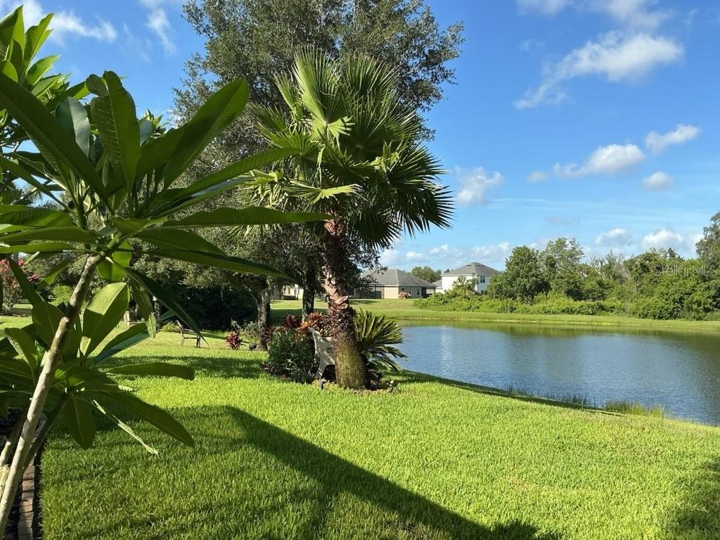 A grassy backyard features a palm tree, a small pond, and distant houses under a sky — 1549 WESTOVER AVENUE, PARRISH, FL