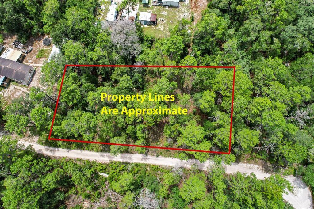 An aerial view shows a rectangular wooded lot outlined in red next to a dirt road — 202 UTAH STREET, SATSUMA, FL