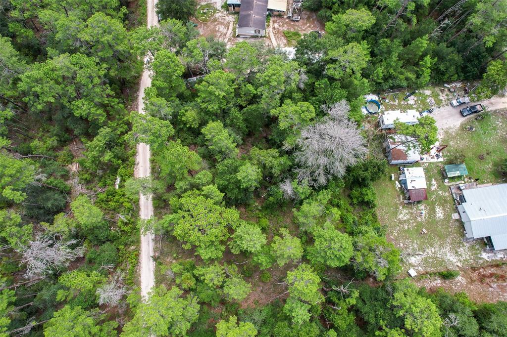 An aerial view shows a dirt road running through a wooded lot with several structures — 202 UTAH STREET, SATSUMA, FL