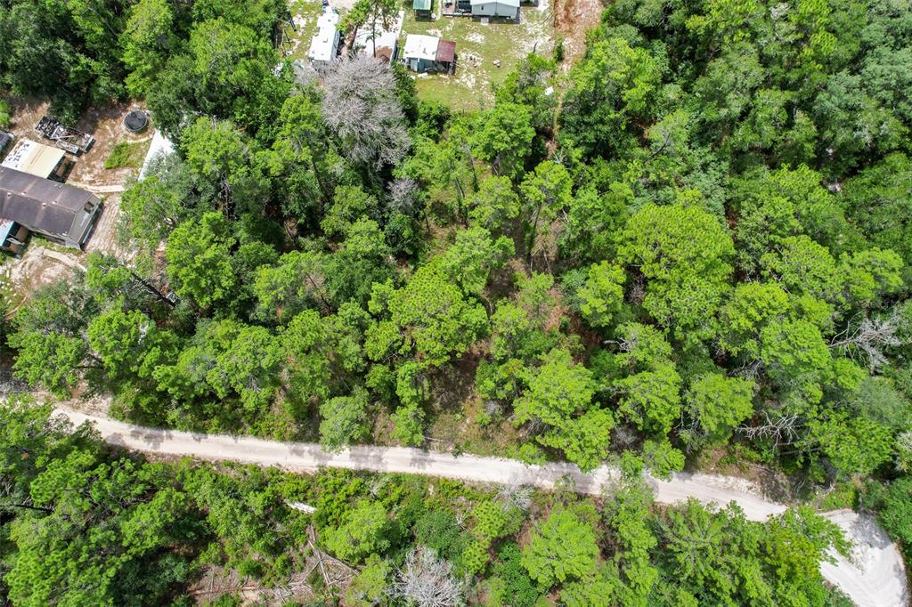 An aerial view shows a dirt road winding through a dense, wooded residential lot — 202 UTAH STREET, SATSUMA, FL