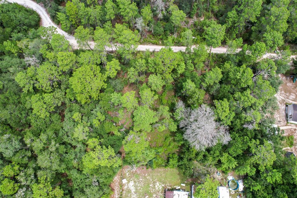 An aerial view shows a wooded lot with a dirt road and nearby residential structures — 202 UTAH STREET, SATSUMA, FL