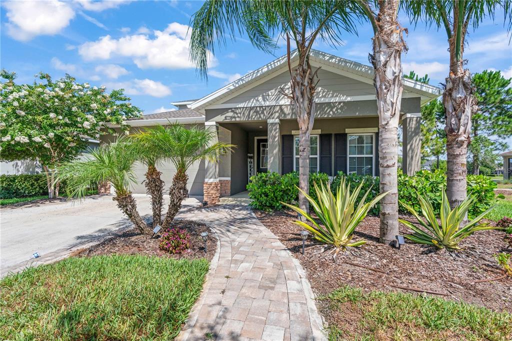 A single-story house with a paved walkway, palm trees, and a stone-accented front porch — 2443 PORTICO STREET, ODESSA, FL