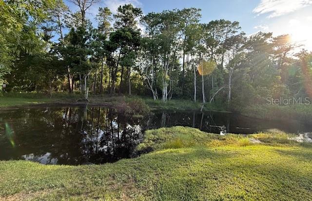 322 N SHADOWBAY BOULEVARD, LONGWOOD, FL — photo 4 of 30