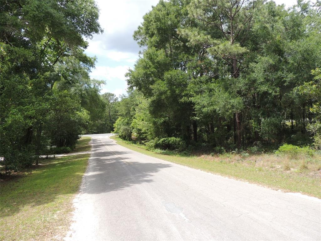 A paved road winds through a wooded area with dense green trees on both sides — 15955 NE 13TH STREET, WILLISTON, FL