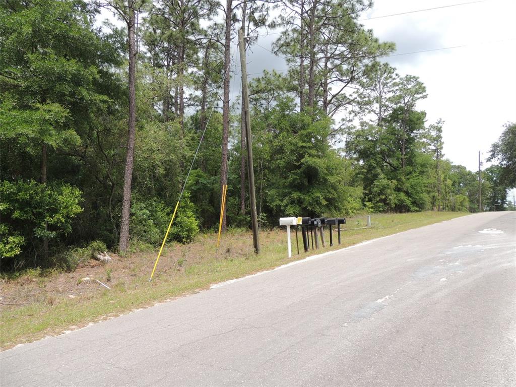 A row of mailboxes stands beside a paved road in front of a wooded lot — 15955 NE 13TH STREET, WILLISTON, FL