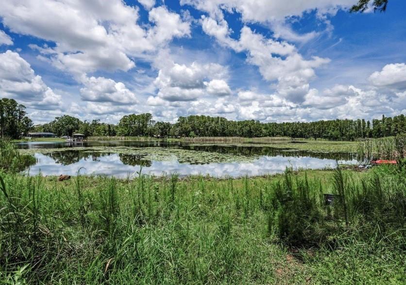 A grassy field leads to a calm lake surrounded by trees under a cloudy sky — 4635 COBB ROAD, LAND O LAKES, FL