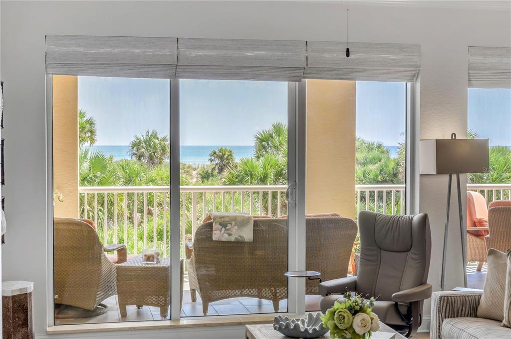 A foyer features a tray ceiling with a chandelier, wood-look flooring, and a checkered rug — 255 MINORCA BEACH WAY UNIT 205, NEW SMYRNA BEACH, FL