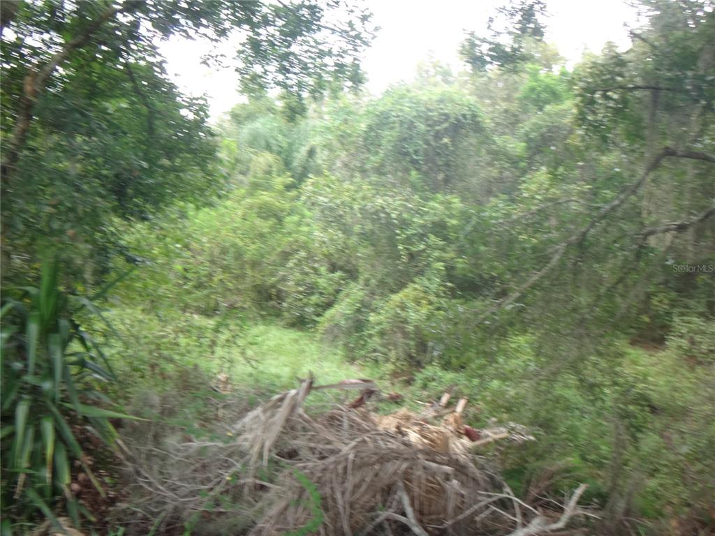 TAMARIND DRIVE, LAKE WALES, FL — photo 4 of 6
