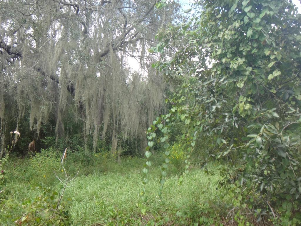 TAMARIND DRIVE, LAKE WALES, FL — photo 5 of 6