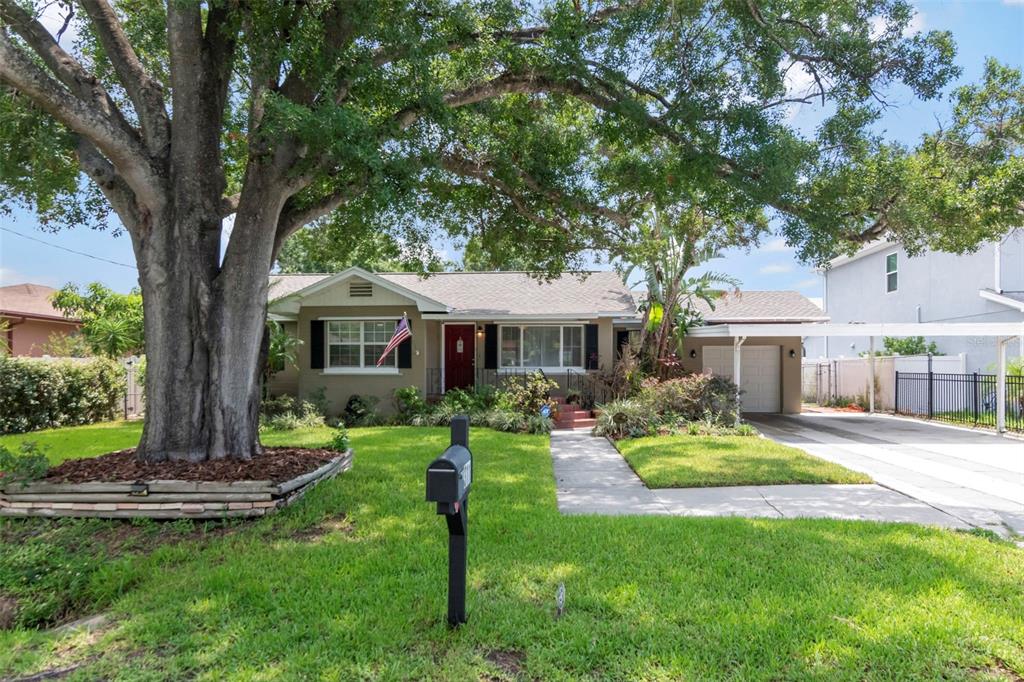 A single-story house with a large tree in the front yard and a carport — 311 N GOMEZ AVENUE, TAMPA, FL