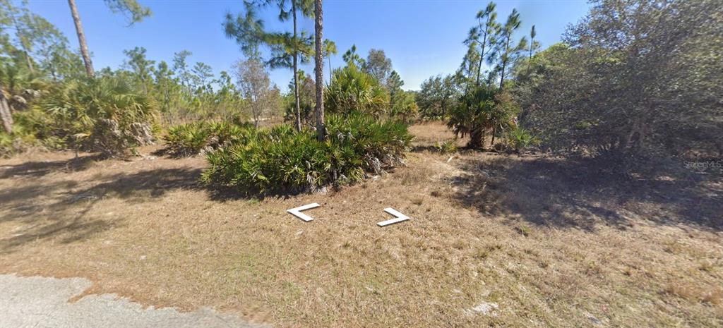 A vacant, grassy lot features scattered palm trees and native vegetation under a clear sky — 1002 GLENN AVENUE, LEHIGH ACRES, FL
