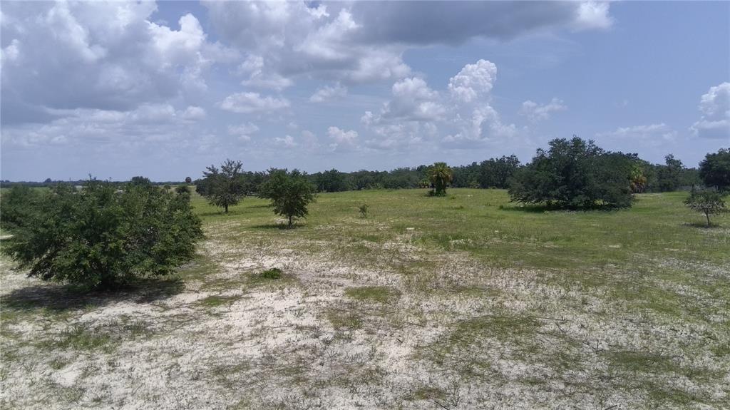 A wide, grassy, and sandy vacant lot features scattered trees under a cloudy sky — 4547 GLEN SAINT MARY RD ROAD, LAKE WALES, FL