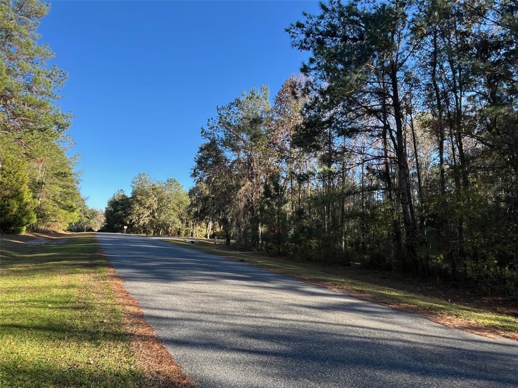 A paved road winds through a wooded area under a clear blue sky — TBD NW 148 LANE, WILLISTON, FL
