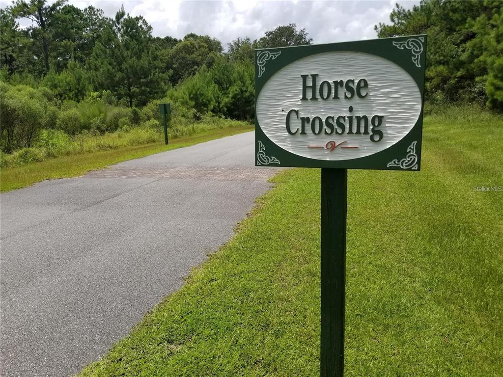 A sign reading Horse Crossing stands beside a paved road near a wooded area — TBD NW 148 LANE, WILLISTON, FL