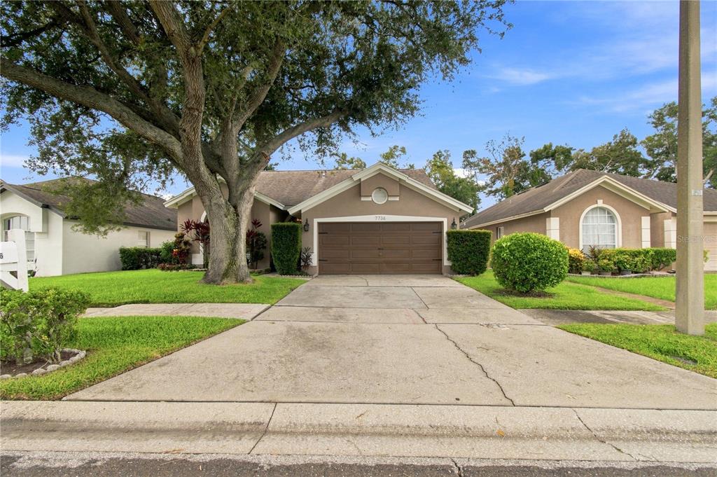 A single-story house with a brown garage door, a large tree, and a concrete driveway — 7736 MARBELLA CREEK AVENUE, TAMPA, FL