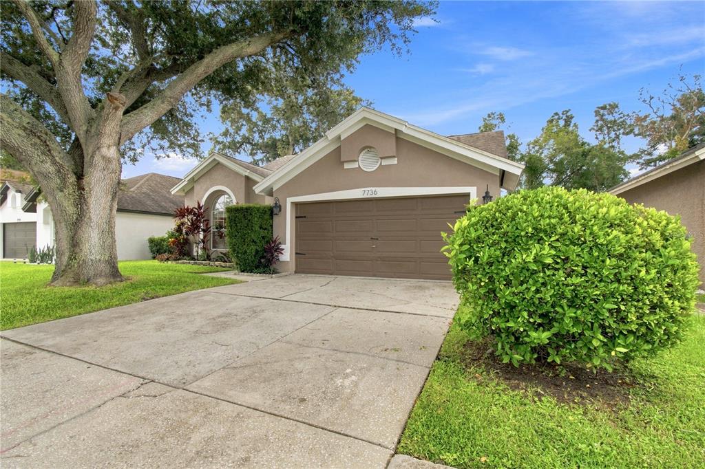 A single-story house with a brown garage, concrete driveway, and a large tree in front — 7736 MARBELLA CREEK AVENUE, TAMPA, FL