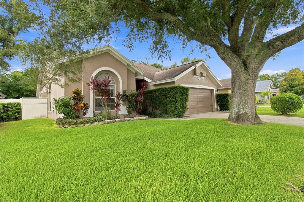 A single-story house with a tan stucco exterior, a two-car garage, and a large oak tree — 7736 MARBELLA CREEK AVENUE, TAMPA, FL