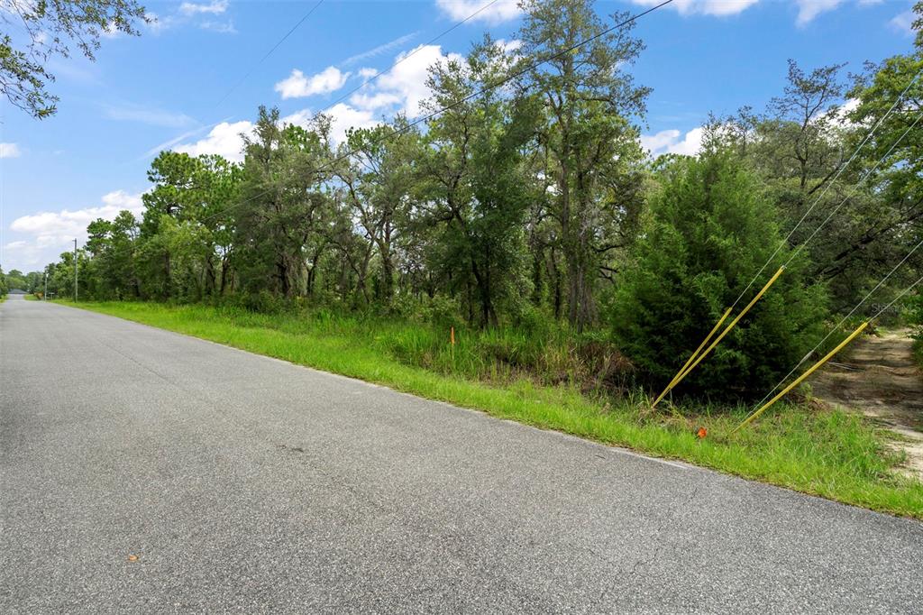 A paved road runs alongside a wooded lot with tall trees and utility poles — 12250 MARVELWOOD ROAD, WEEKI WACHEE, FL