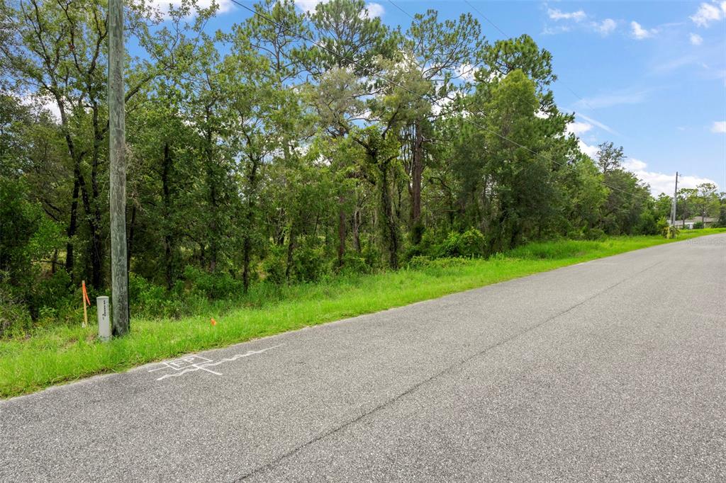 A paved road runs alongside a wooded lot with a utility pole and survey markers — 12250 MARVELWOOD ROAD, WEEKI WACHEE, FL