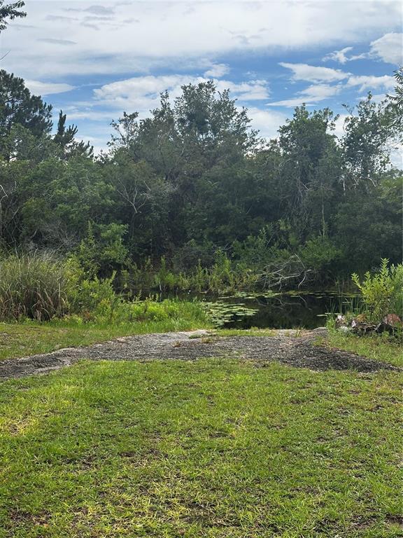 A concrete boat ramp leads into a small pond surrounded by trees and vegetation — 15080 NE 242ND AVENUE, SALT SPRINGS, FL