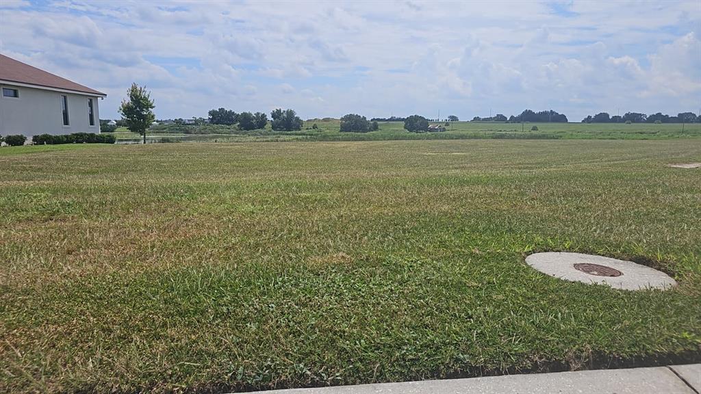120 CALADIUM AVENUE, LAKE ALFRED, FL — photo 4 of 30