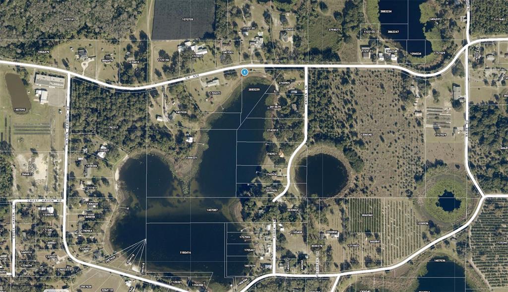 COUNTY ROAD 450, UMATILLA, FL — photo 2 of 23