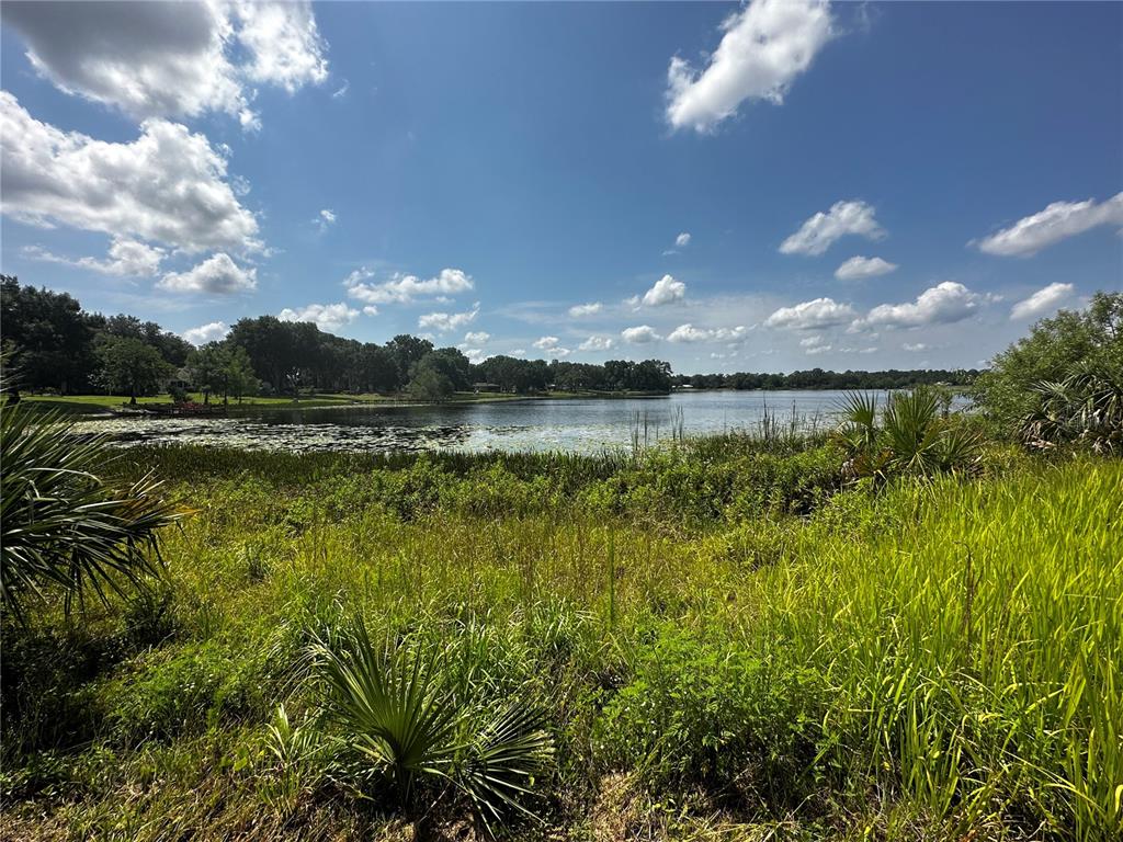 COUNTY ROAD 450, UMATILLA, FL — photo 4 of 23