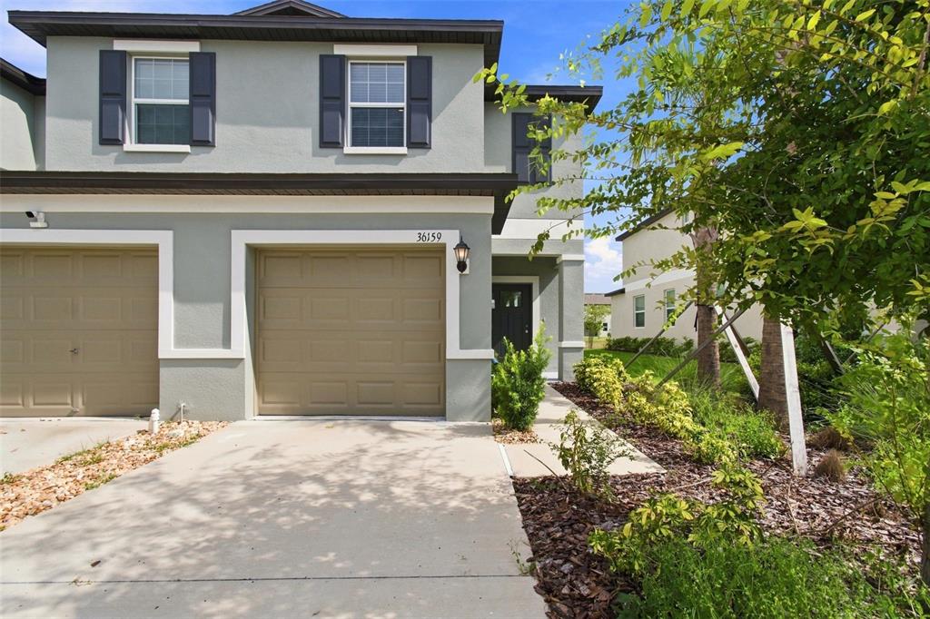36159 RISA MICHELE STREET
