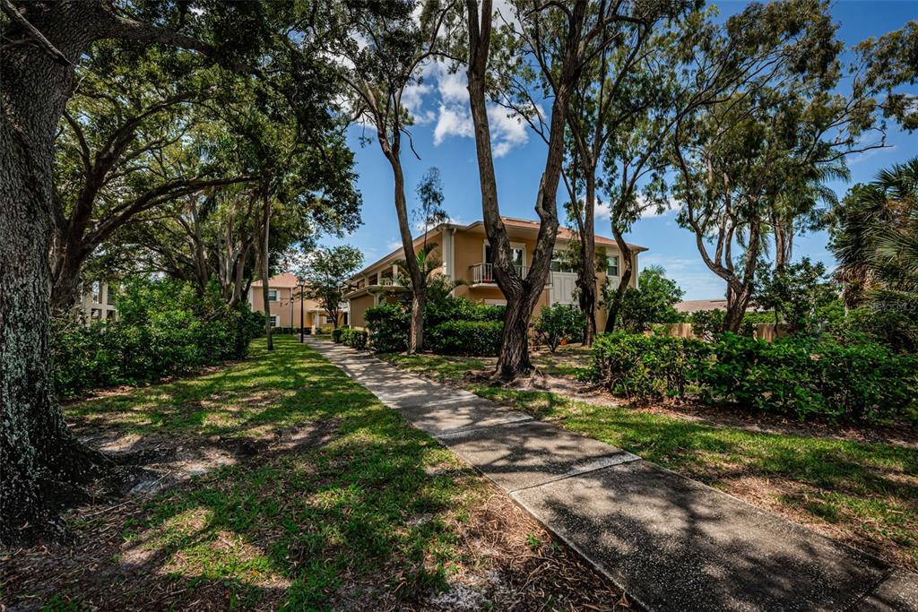 A concrete sidewalk leads toward a multi-story apartment building surrounded by trees and landscaping — 8300 BARDMOOR BOULEVARD UNIT 103, SEMINOLE, FL