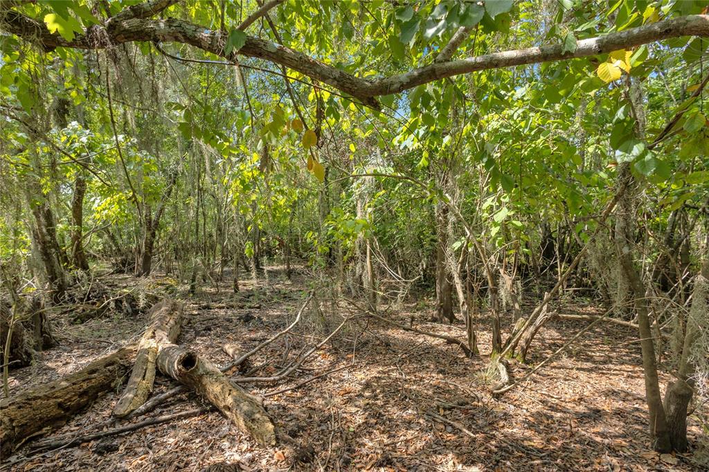 An aerial view shows a wooded 15.21-acre parcel of land bordered by the St. Johns River — 0000 CUMMER ROAD, DELAND, FL