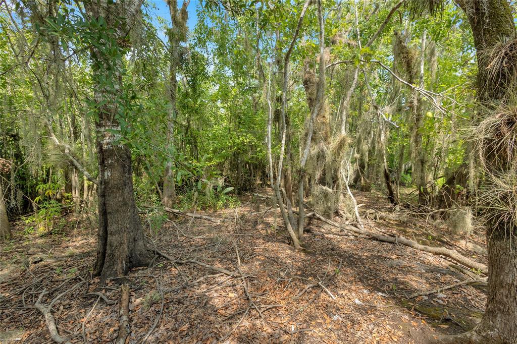This aerial map shows a 15.21-acre property located near Mud Lake and Lake Woodruff — 0000 CUMMER ROAD, DELAND, FL