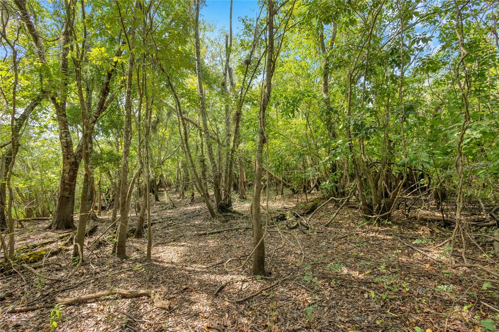 An aerial view shows a 15.21-acre property near Lake Beresford, the St. Johns River, and roads — 0000 CUMMER ROAD, DELAND, FL